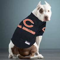 Chicago Bears Raglan Jersey