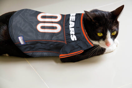 Chicago Bears Mesh Pet Jersey