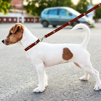 Cleveland Browns Satin Leash