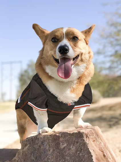 Cleveland Browns Mesh Pet Jersey