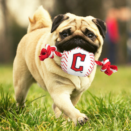 Cleveland Guardians Nylon Baseball Rope Toy