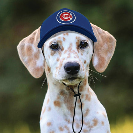 Chicago Cubs Pet Caps