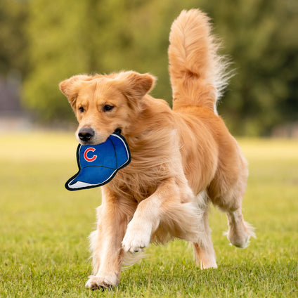 Chicago Cubs Baseball Cap Tough Toy