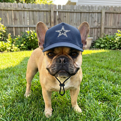 Dallas Cowboys Pet Caps