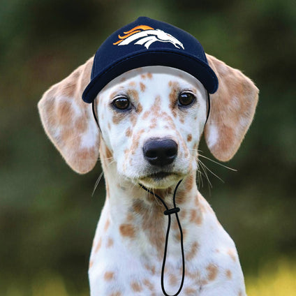 Denver Broncos Pet Caps