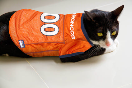 Denver Broncos Mesh Pet Jersey