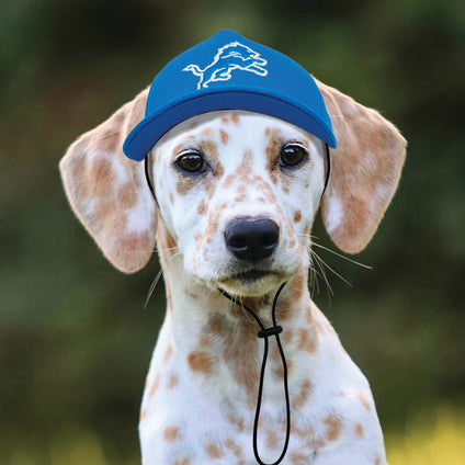 Detroit Lions Pet Caps
