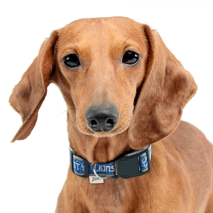 Detroit Lions Zubaz Collar