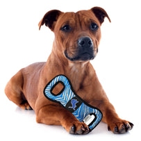 Detroit Lions Zubaz Pull Toy