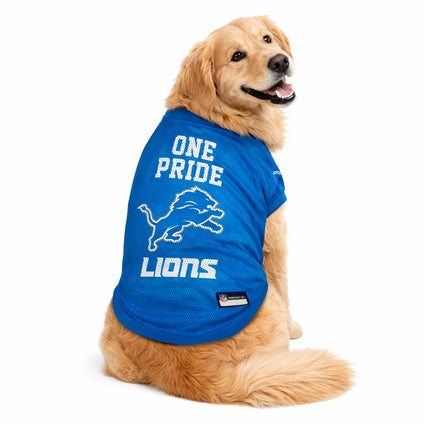 Detroit Lions "One Pride" Pet Striped Jersey