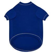 Detroit Lions Pet Stripe Text Tee Shirt