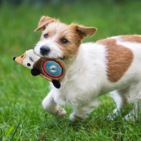 MIAMI DOLPHINS PLUSH HEDGEHOG TOY