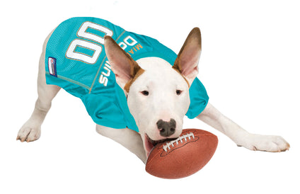 Miami Dolphins Mesh Jersey