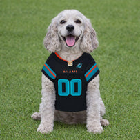 Miami Dolphins Pet Rivalry Jersey