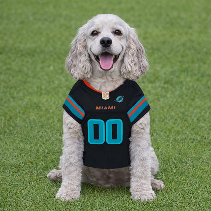 Miami Dolphins Pet Rivalry Jersey