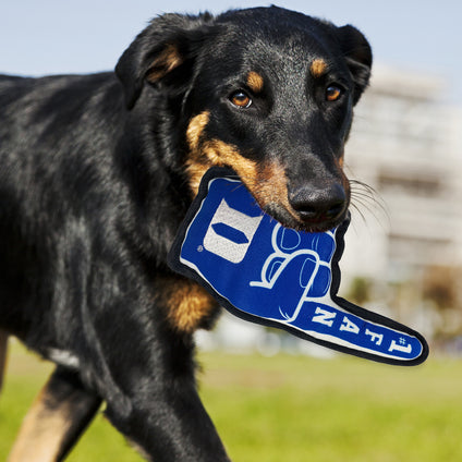 Duke #1 Fan Toy