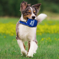 Duke #1 Fan Toy