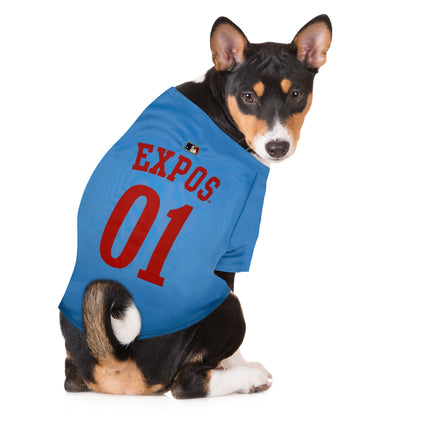 Expos Throwback Jersey