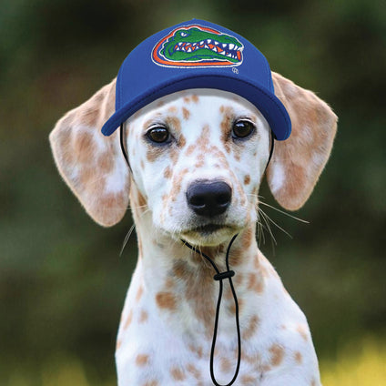 Florida Gators Pet Caps