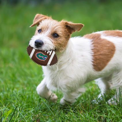 FLORIDA HARD NYLON FOOTBALL CHEW TOY