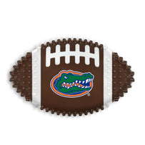 FLORIDA HARD NYLON FOOTBALL CHEW TOY