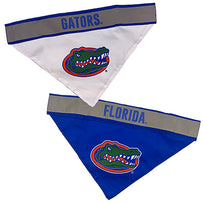 Florida Reflective Reversible Bandana