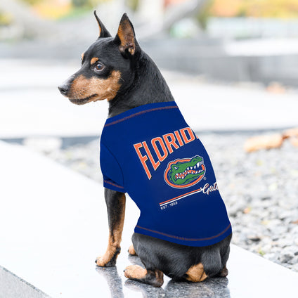Florida Gators Bold City Text Tee Shirt