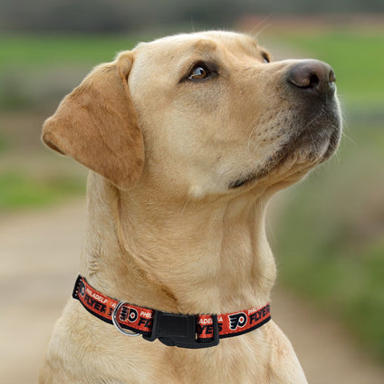 Philadelphia Flyers Satin Collar