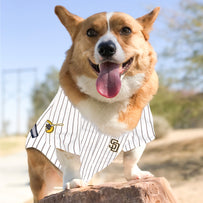 Fernando Tatis Jr Pet Jersey (Pad)
