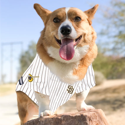 Fernando Tatis Jr Pet Jersey (Pad)