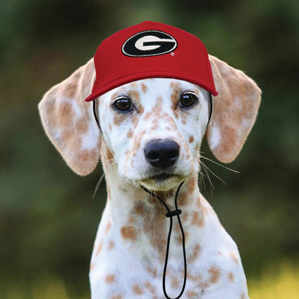 Georgia Bulldogs Pet Caps