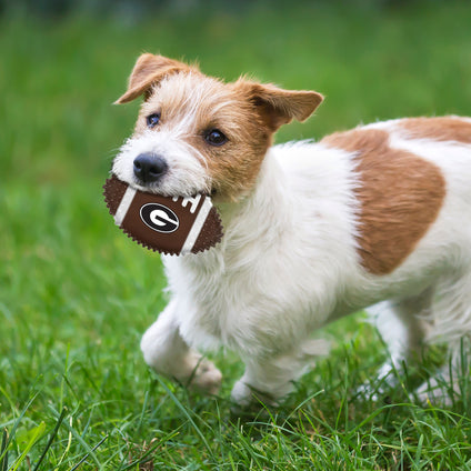 GEORGIA HARD NYLON FOOTBALL CHEW TOY