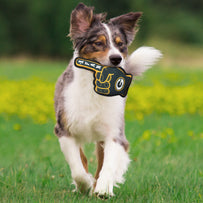 Green Bay Packers #1 Fan Toy