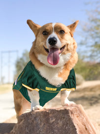 Green Bay Packers Mesh Pet Jersey