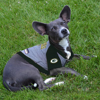 Green Bay Packers Hoodie Tee Shirt