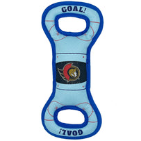 Ottawa Senators Hockey Rink Toy