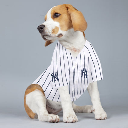 Gleyber Torres Pet Jersey (Yan)