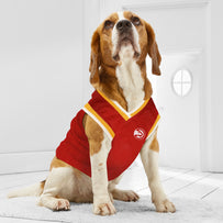 Atlanta Hawks Basketball Mesh Jersey