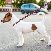 Miami Heat Satin Leash