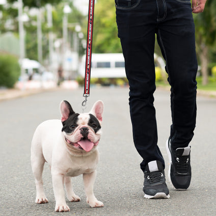 Miami Heat Satin Leash
