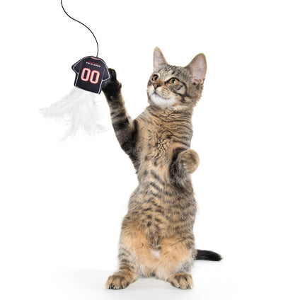 HOUSTON TEXANS TEAM JERSEY WAND WITH CAT NIP