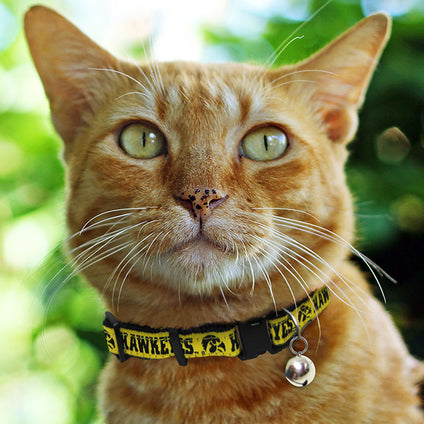 Iowa Cat Collar
