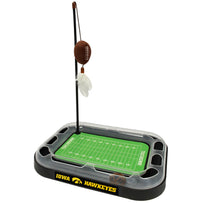 Iowa Football Cat Scratcher Toy