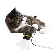 IOWA HAWKEYES TEAM JERSEY WAND WITH CAT NIP