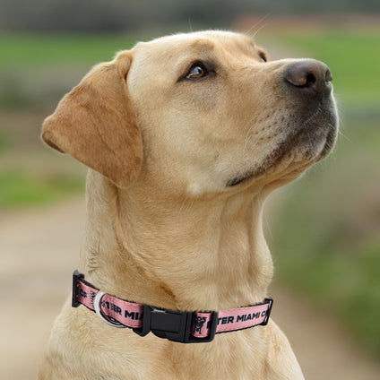 Inter Miami CF Satin Collar