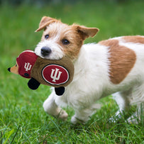 INDIANA PLUSH HEDGEHOG TOY