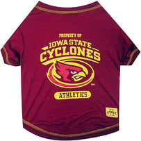 Iowa State Tee Shirt