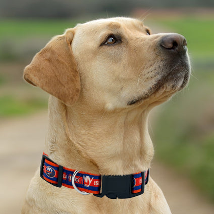 New York Islanders  Satin Collar