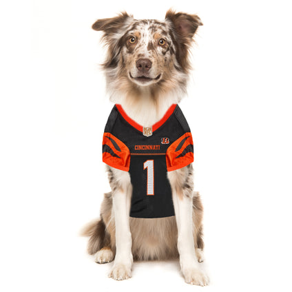 Ja'marr Chase Pet Jersey (Cin)