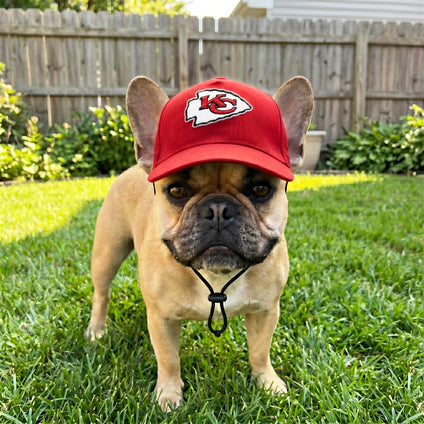 Kansas City Chiefs Pet Caps